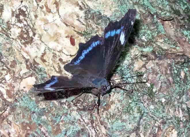 �����^�e�n